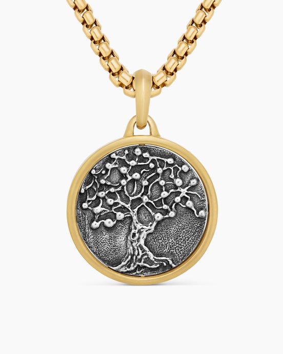 Life and Death Duality Amulet in Sterling Silver with 18K Yellow Gold, 24mm
