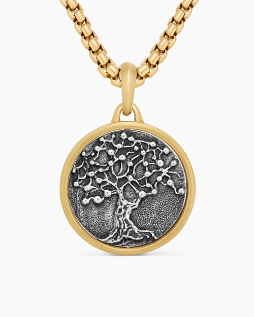 Mens Life and Death Duality Amulet in Sterling Silver with 18K Yellow Gold, 24mm