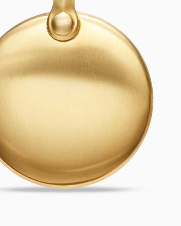 Petrvs® Wolf Amulet in 18K Yellow Gold with Banded Agate, 21mm