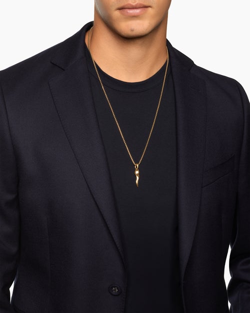 Mens Cornicello Amulet in 18K Yellow Gold, 30mm