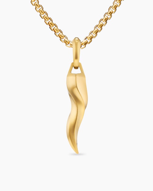 Mens Cornicello Amulet in 18K Yellow Gold, 30mm