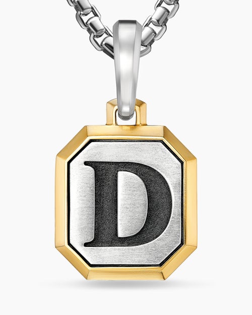 Mens D Initial Amulet in Sterling Silver with 14K Yellow Gold, 17mm