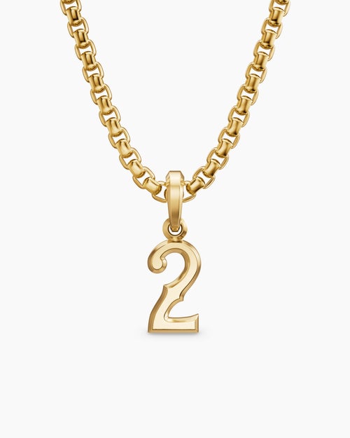 Mens Number Two Amulet in 18K Yellow Gold, 14.8mm