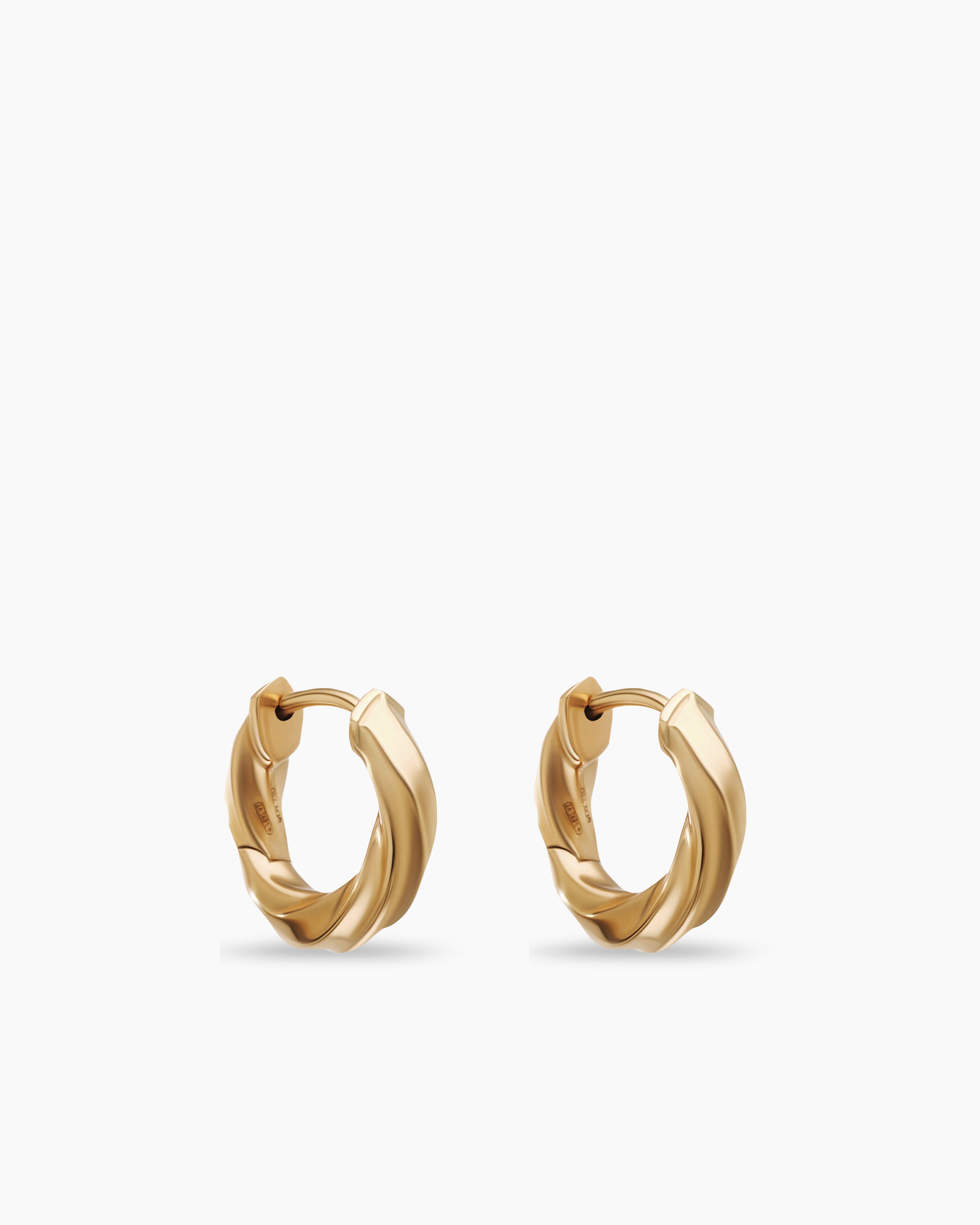 Thick Chunky Hoops, Small Bold Hoop Earrings, Statement Gold Hoops – AMYO  Jewelry