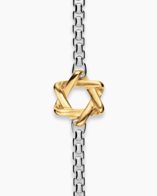 Mens Star of David Station Necklace in Sterling Silver with 14K Yellow Gold, 3.6mm