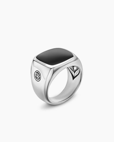 Exotic Stone Signet Ring in Sterling Silver with Black Onyx, 19mm
