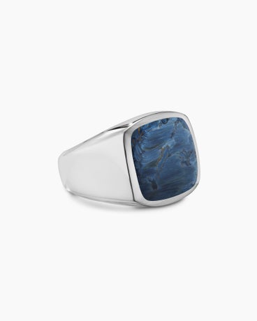 Exotic Stone Signet Ring in Sterling Silver with Pietersite, 19mm