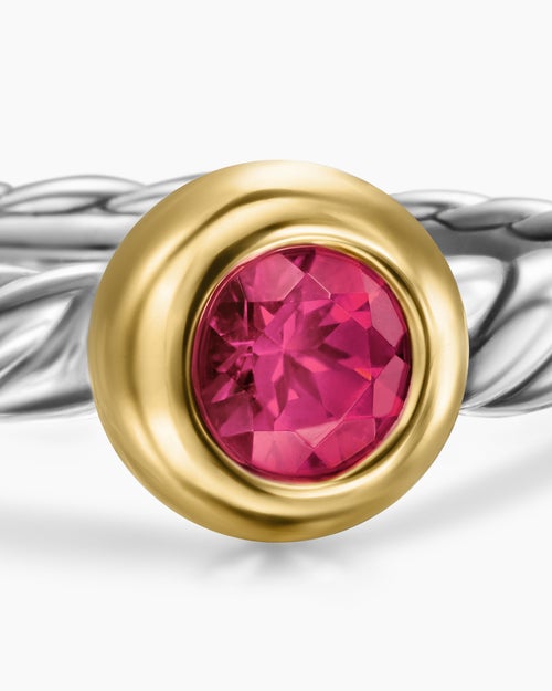 Womens Petite Cable Ring in Sterling Silver with 14K Yellow Gold and Rhodolite Garnet, 2.8mm