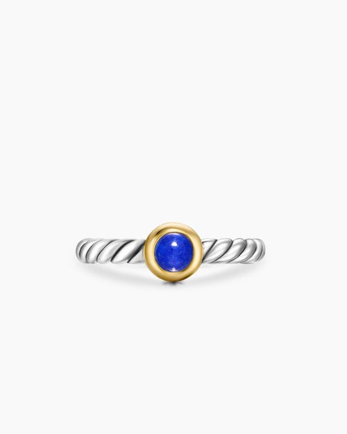 Womens Petite Cable Ring in Sterling Silver with 14K Yellow Gold and Lapis Lazuli, 2.8mm