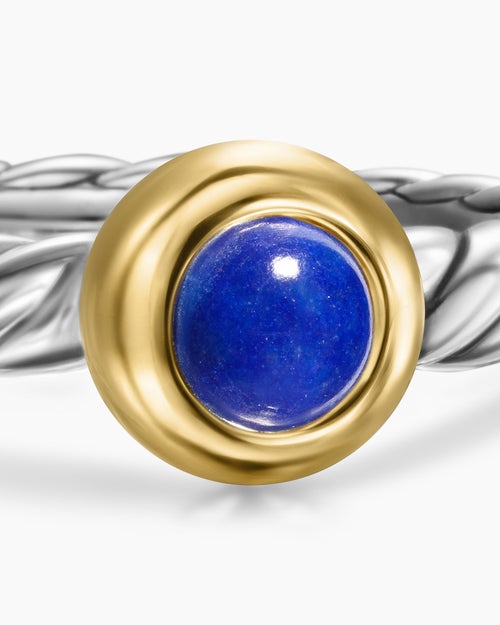 Womens Petite Cable Ring in Sterling Silver with 14K Yellow Gold and Lapis Lazuli, 2.8mm
