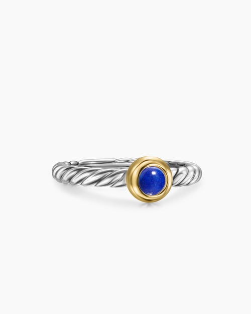 Womens Petite Cable Ring in Sterling Silver with 14K Yellow Gold and Lapis Lazuli, 2.8mm