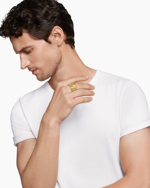 Mens Shipwreck Signet Ring in 18K Yellow Gold, 24mm