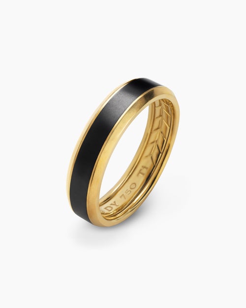 Mens Beveled Band Ring in 18K Yellow Gold with Black Titanium, 6mm