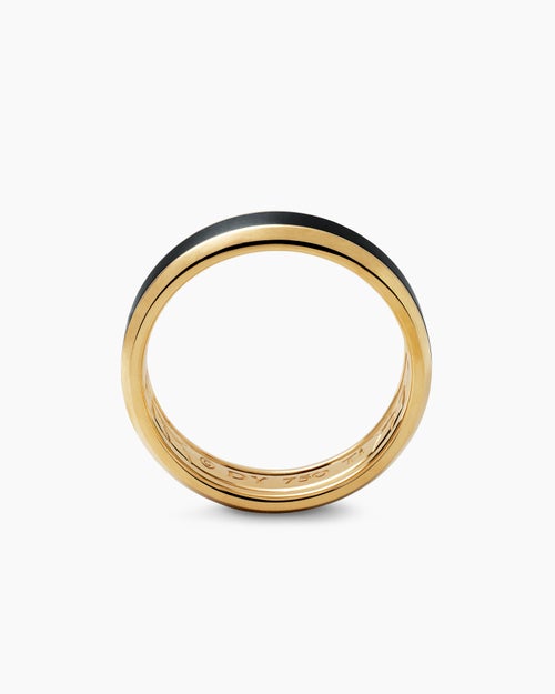 Mens Beveled Band Ring in 18K Yellow Gold with Black Titanium, 6mm