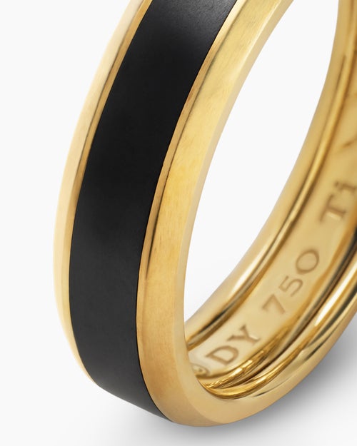 Mens Beveled Band Ring in 18K Yellow Gold with Black Titanium, 6mm