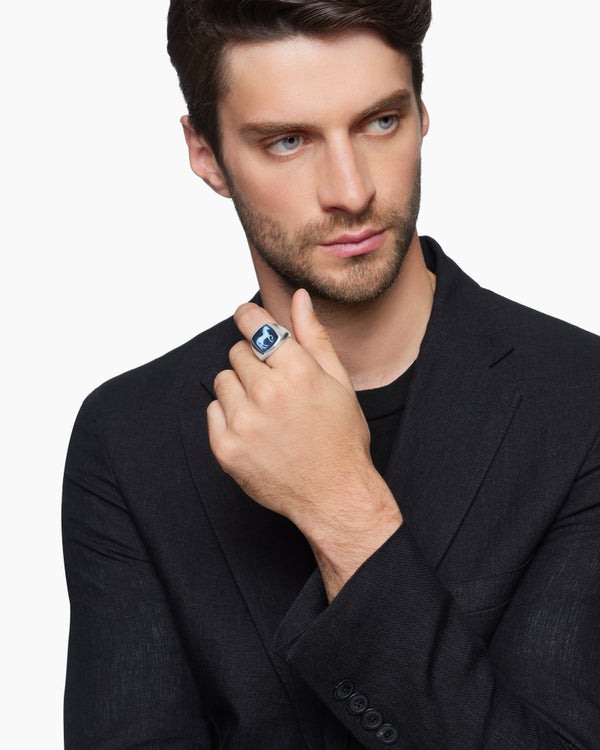 Bague chevalière cheval Petrvs® en argent sterling avec agate rayée, 18,3 mm