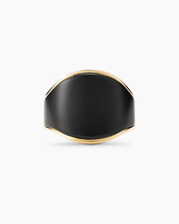 Streamline® Signet Ring in 18K Yellow Gold with Black Titanium, 20.2mm
