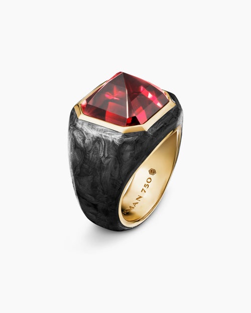 Mens Hexagonal Signet Ring in 18K Yellow Gold with Forged Carbon and Garnet, 17.7mm