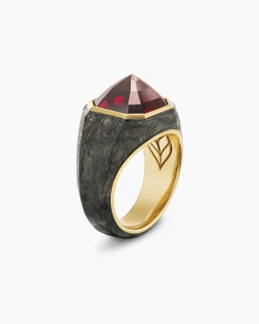 Forged Carbon Signet Ring in 18K Yellow Gold and Garnet, 17.7mm