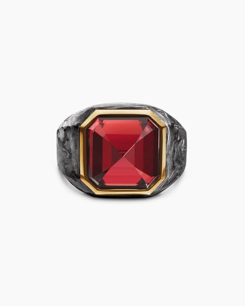 Mens Hexagonal Signet Ring in 18K Yellow Gold with Forged Carbon and Garnet, 17.7mm