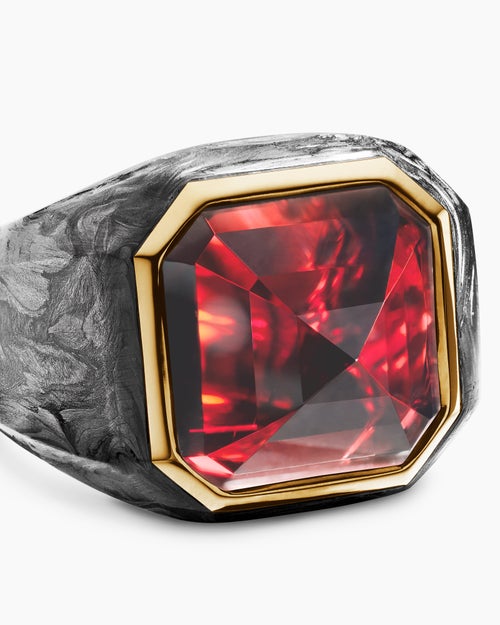 Mens Hexagonal Signet Ring in 18K Yellow Gold with Forged Carbon and Garnet, 17.7mm