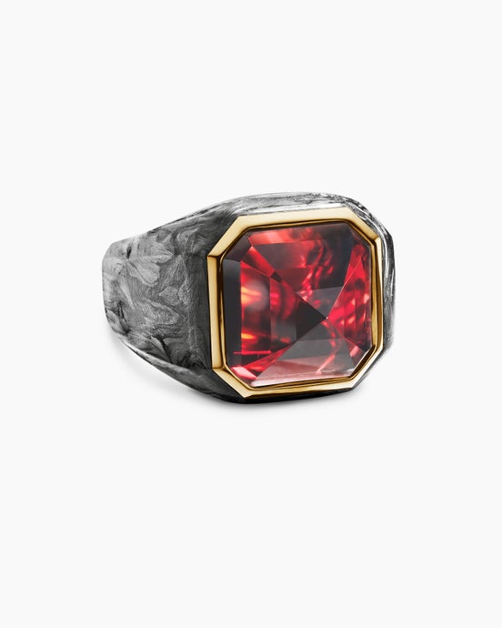 Hexagonal Signet Ring in 18K Yellow Gold with Forged Carbon and Garnet, 17.7mm