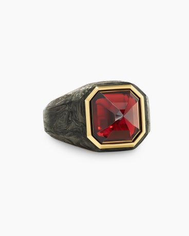 Forged Carbon Signet Ring in 18K Yellow Gold and Garnet, 17.7mm