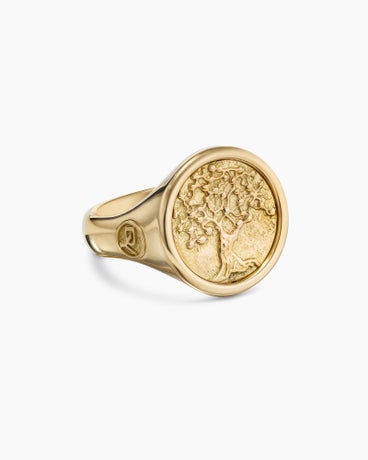 Life and Death Duality Signet Ring in 18K Yellow Gold, 20mm