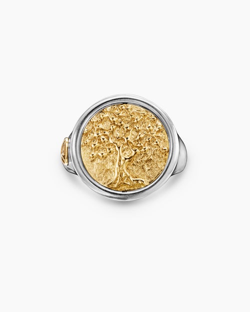 Mens Life and Death Duality Signet Ring in Sterling Silver with 18K Yellow Gold, 20mm