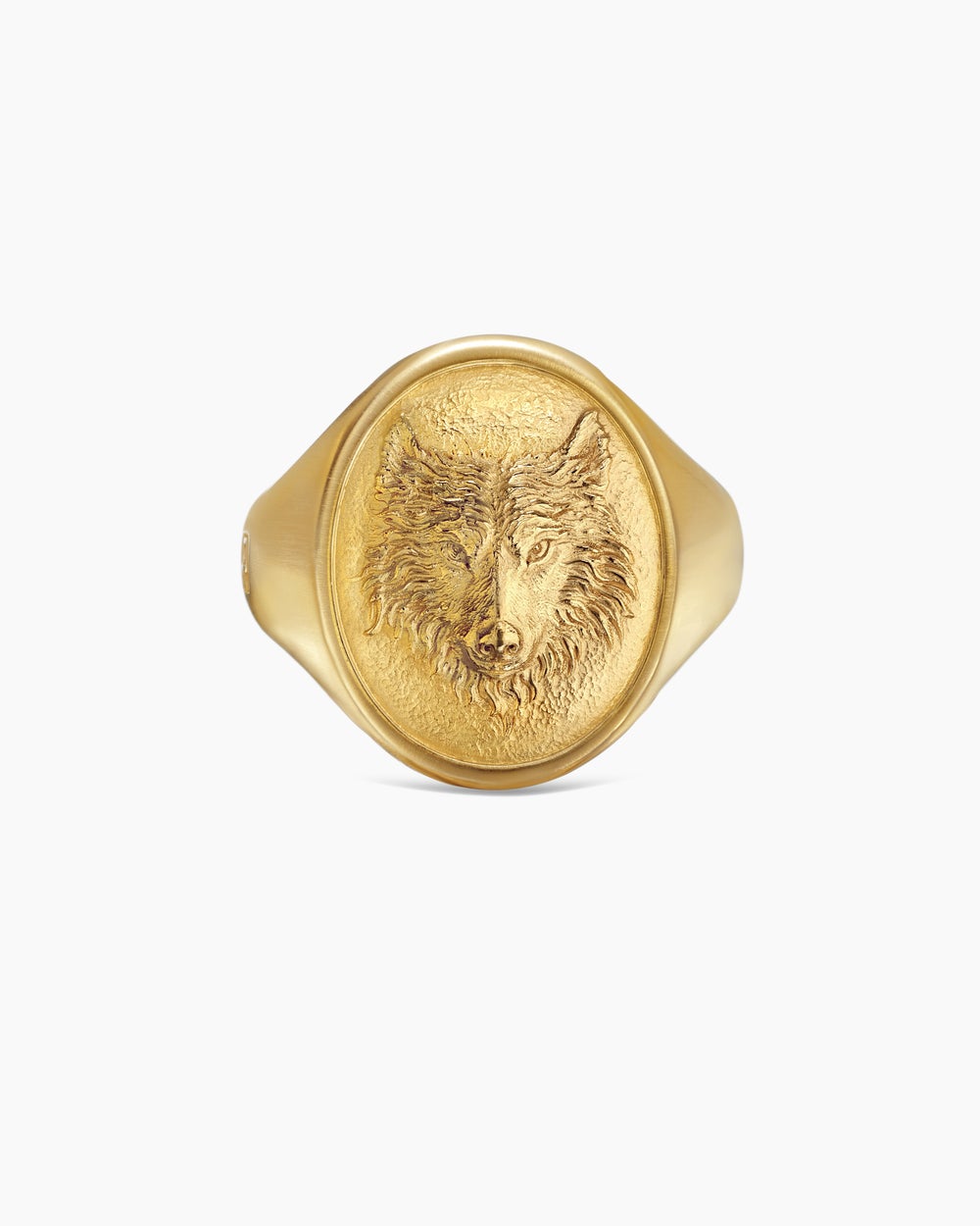 Chevalière avec loup Petrvs en or jaune 18 carats, 21,5 mm hommes