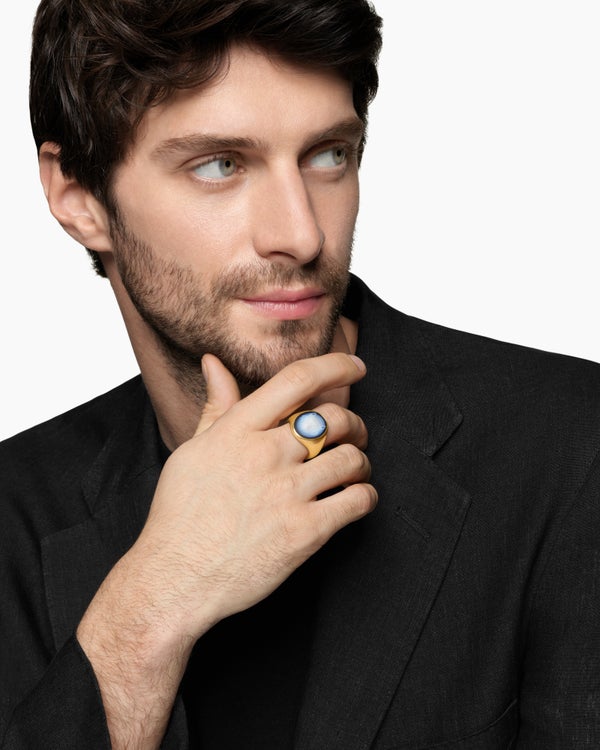 Bague chevalière loup Petrvs en or jaune 18 carats, 21,5 mm