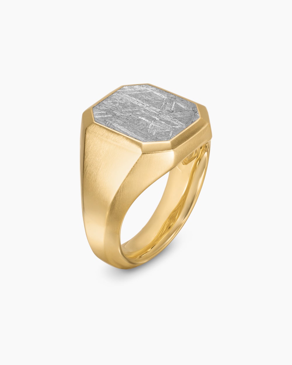 Mens Streamline® Signet Ring in 18K Yellow Gold with Meteorite, 18mm