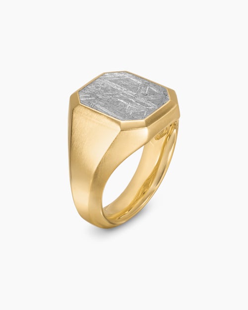 Mens Streamline® Signet Ring in 18K Yellow Gold with Meteorite, 18mm