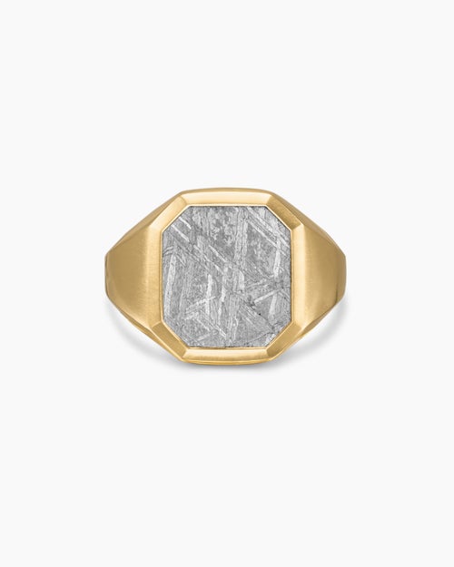 Mens Streamline® Signet Ring in 18ct Yellow Gold with Meteorite, 18mm