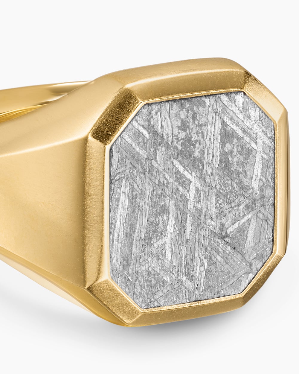 Mens Streamline® Signet Ring in 18K Yellow Gold with Meteorite, 18mm
