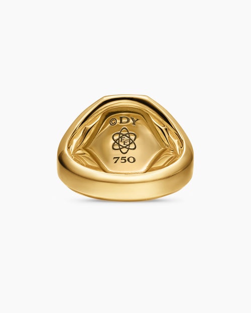 Mens Streamline® Signet Ring in 18K Yellow Gold with Meteorite, 18mm