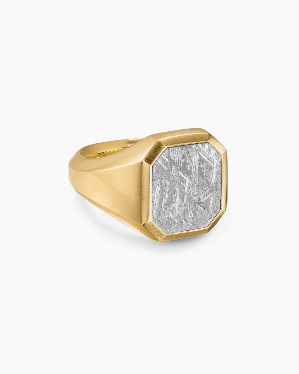 Mens Streamline® Signet Ring in 18K Yellow Gold with Meteorite, 18mm