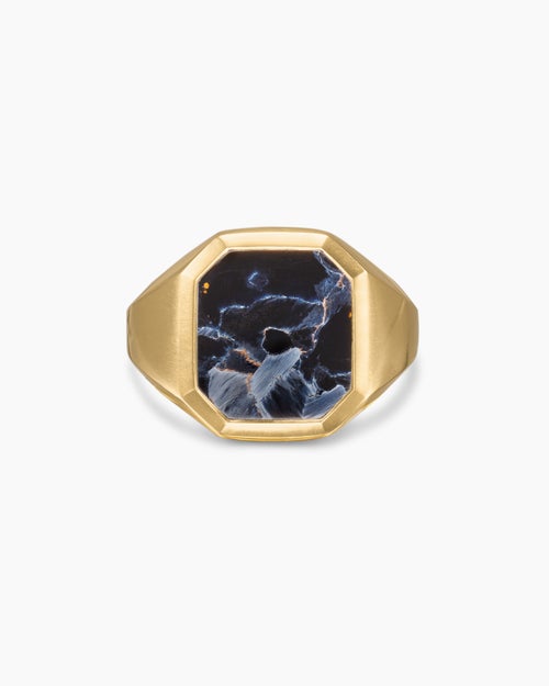 Mens Streamline® Signet Ring in 18K Yellow Gold with Pietersite, 18mm