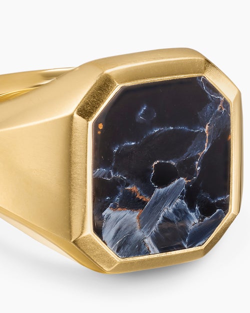 Mens Streamline® Signet Ring in 18K Yellow Gold with Pietersite, 18mm