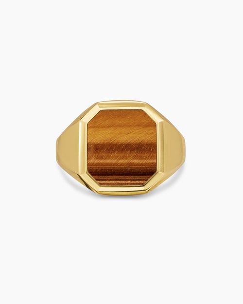 Mens Streamline® Signet Ring in 18K Yellow Gold with Tiger's Eye, 18mm