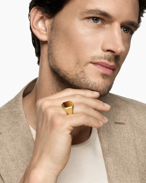 Mens Streamline® Signet Ring in 18ct Yellow Gold with Tiger's Eye, 18mm