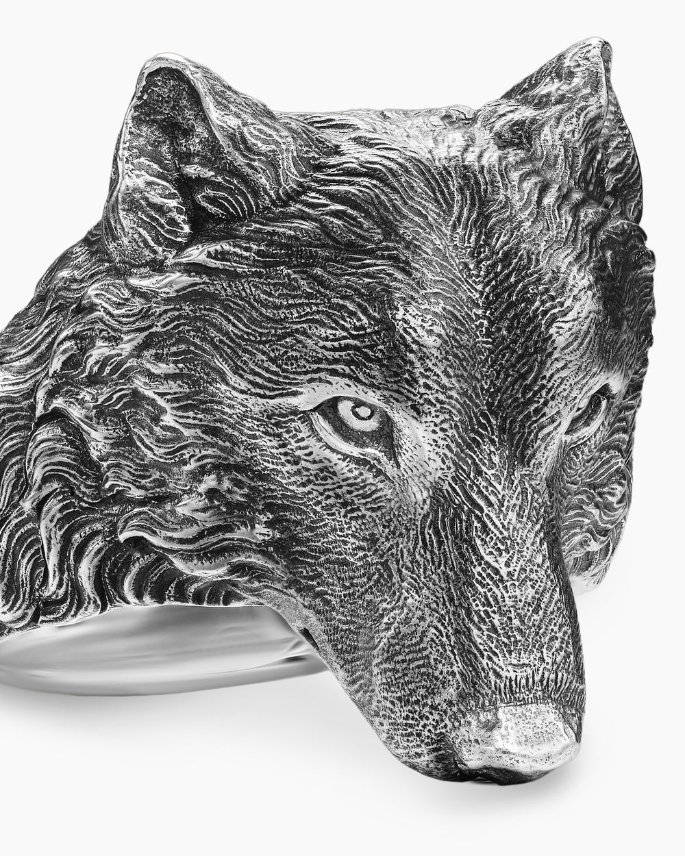 Mens Petrvs Wolf Signet Ring in Sterling Silver, 25mm