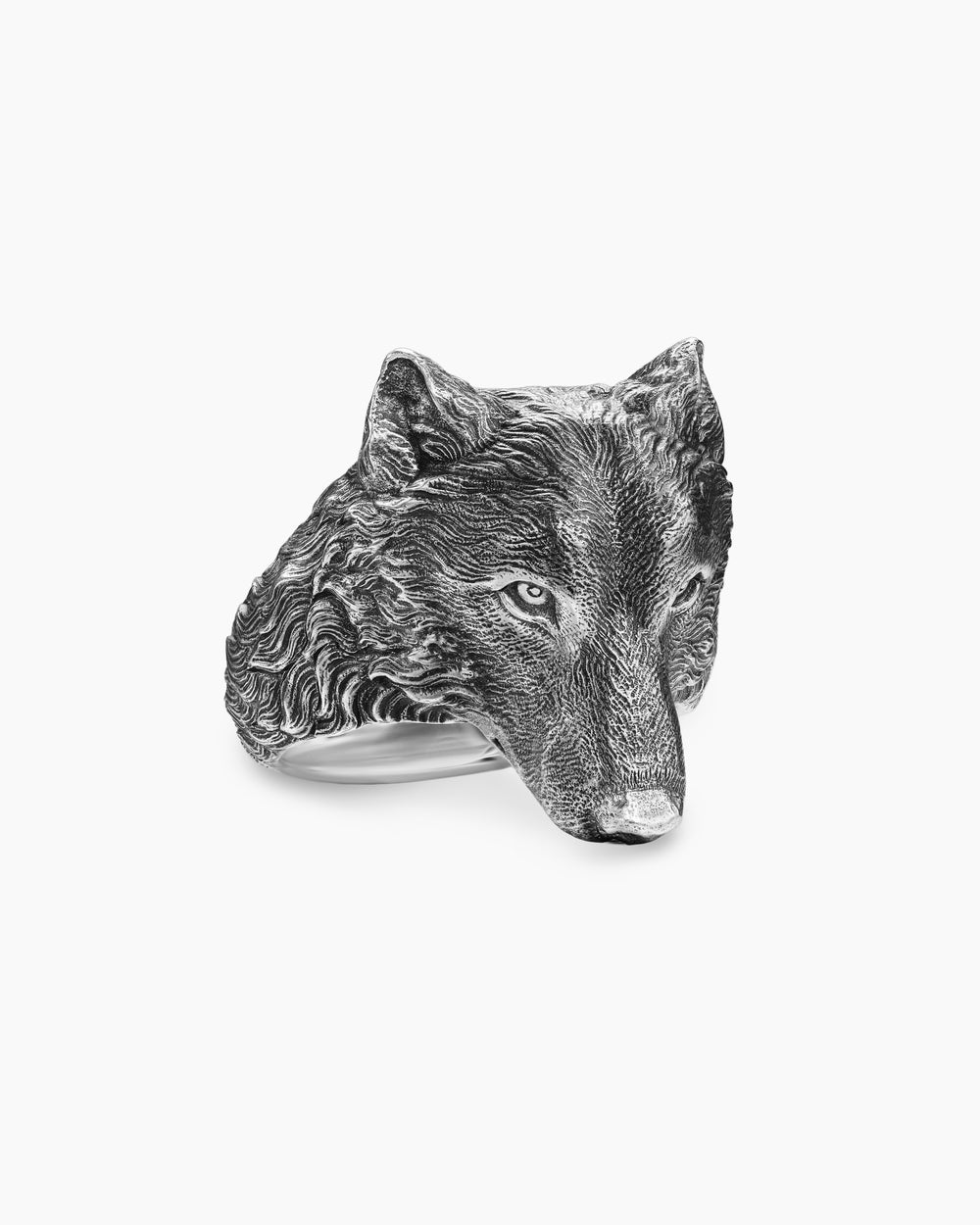 Mens Petrvs Wolf Signet Ring in Sterling Silver, 25mm