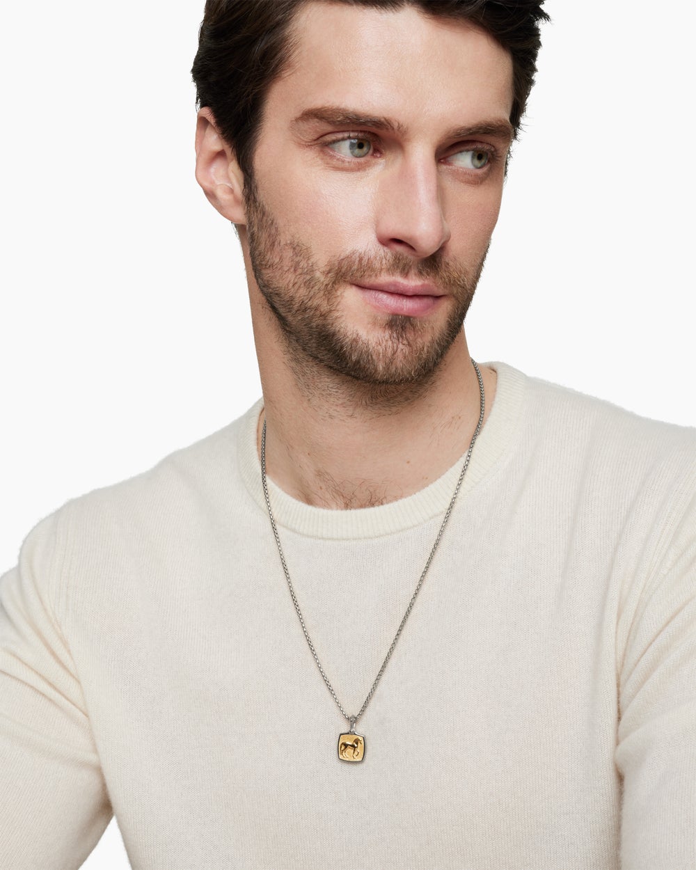 Amulette cheval Petrvs® en argent sterling avec or jaune 18 carats, 19 mm pour hommes