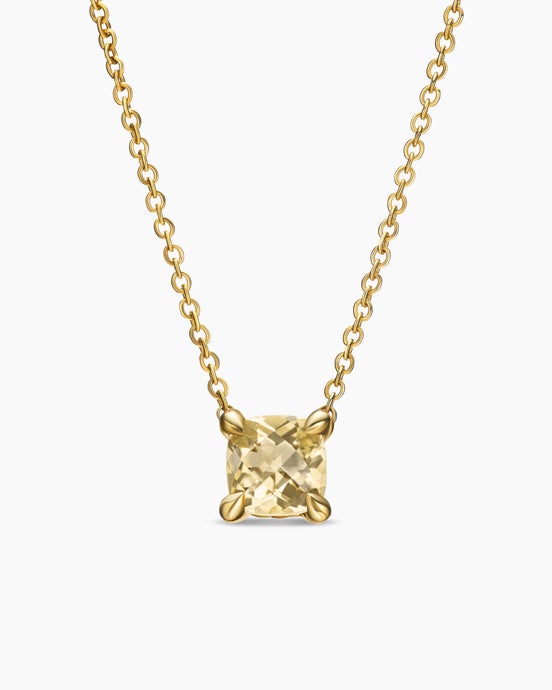 Micro Chatelaine Pendant Necklace in 18K Yellow Gold, 5mm